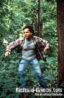still18